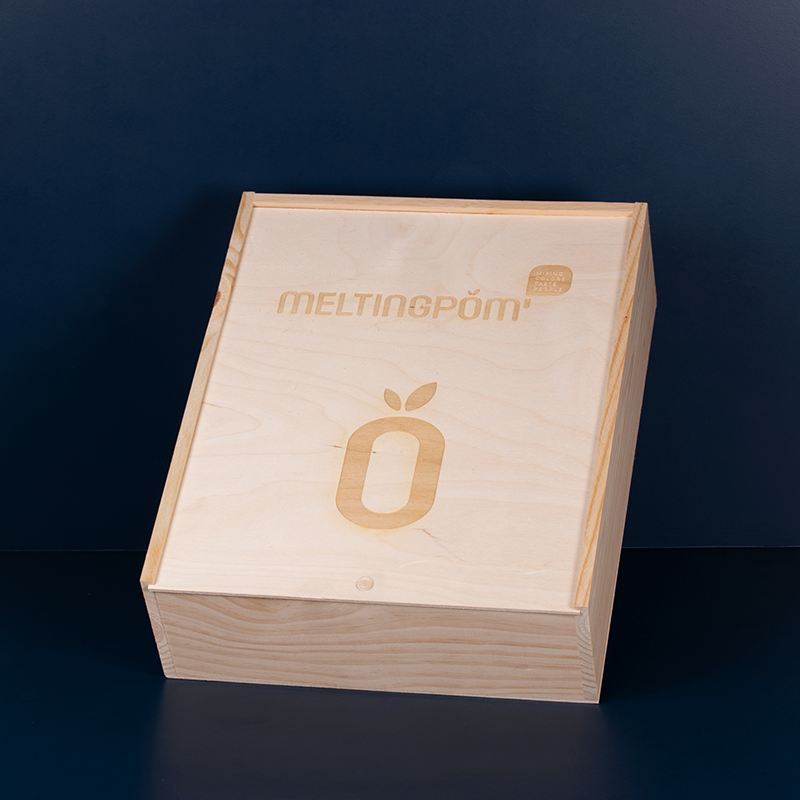 Large Verrassingskistje