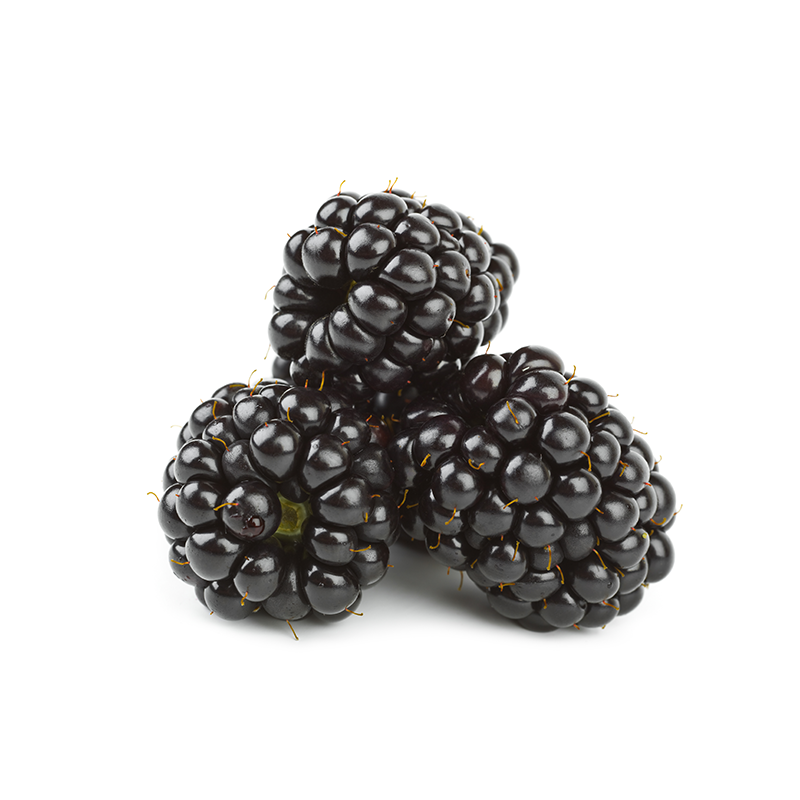 150g Braambessen