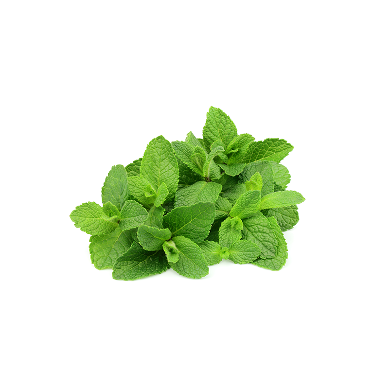80g Munt