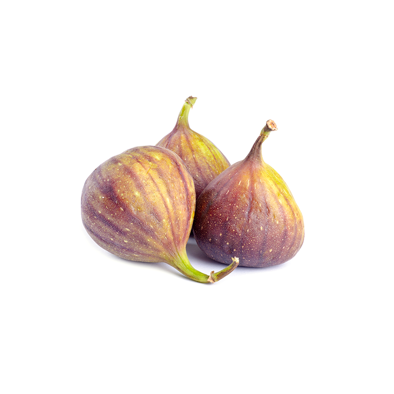 1 Vijg