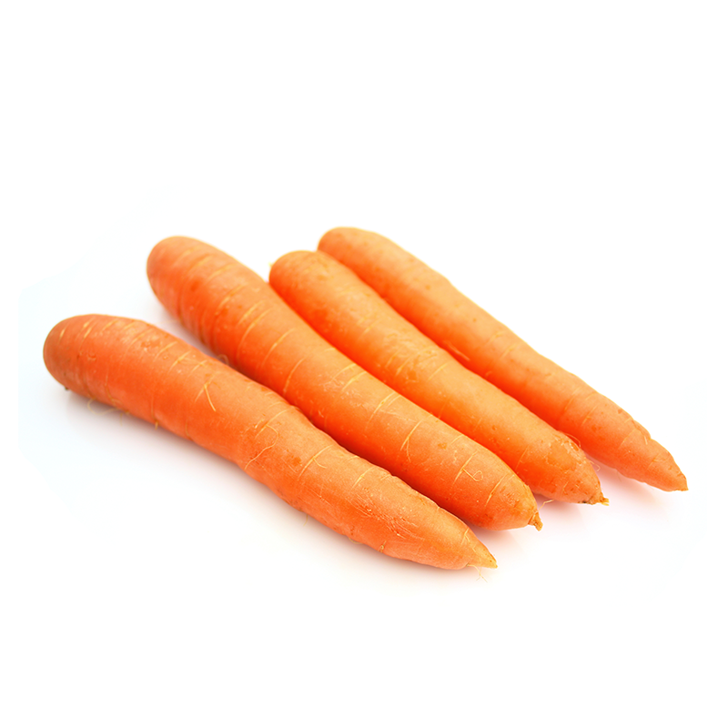 Carottes