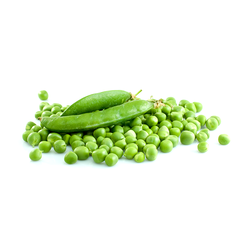 Erwten