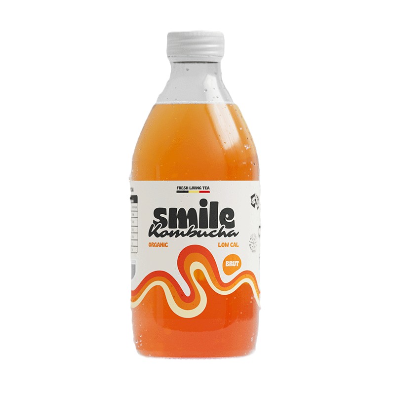 12x33cl Originele Kombucha