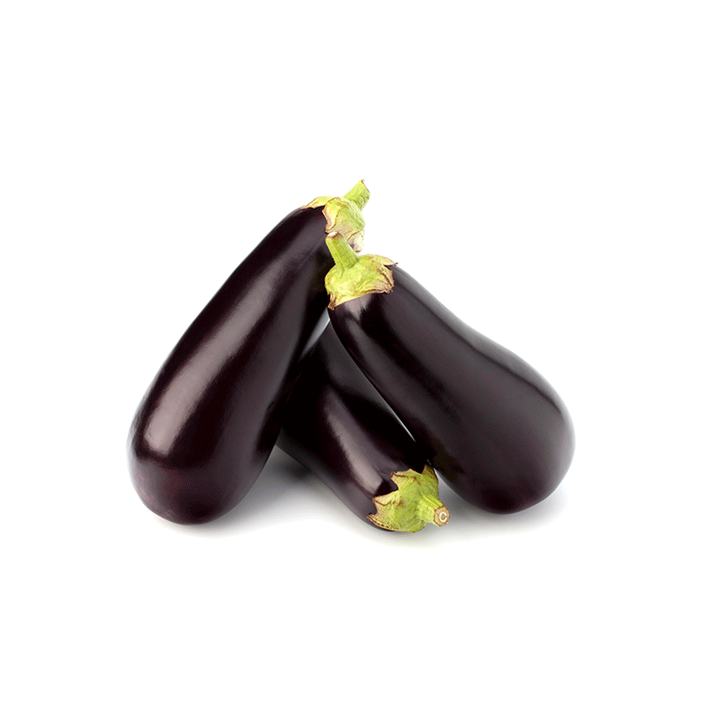 Aubergines Bio