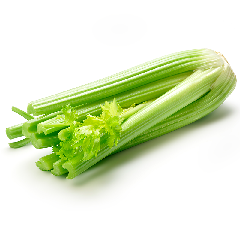 Céleri Branche Bio