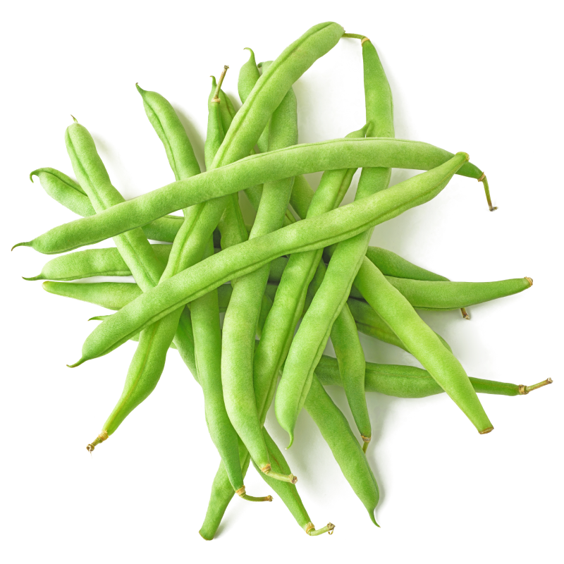Haricots Verts Bio