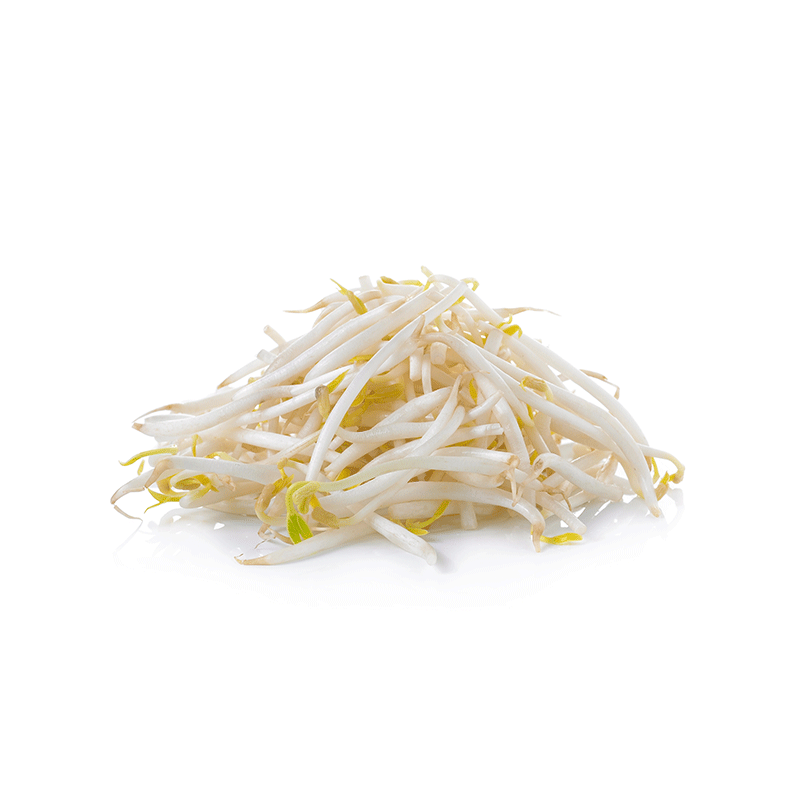 Germes de Soja