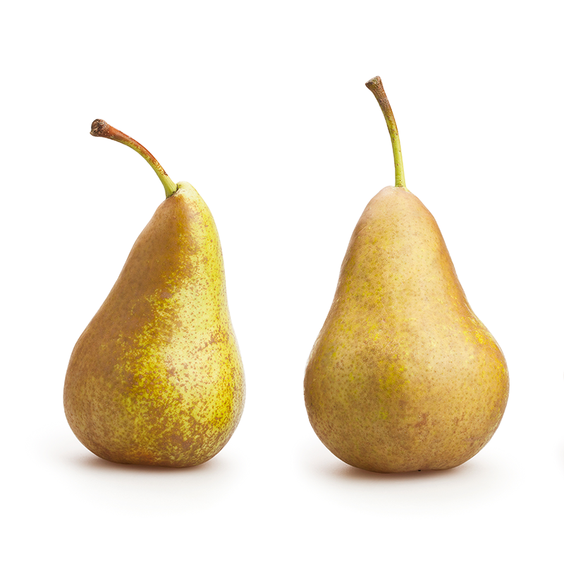 Poire Conférence