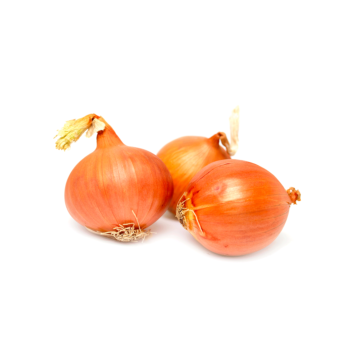 1kg Ajuinen