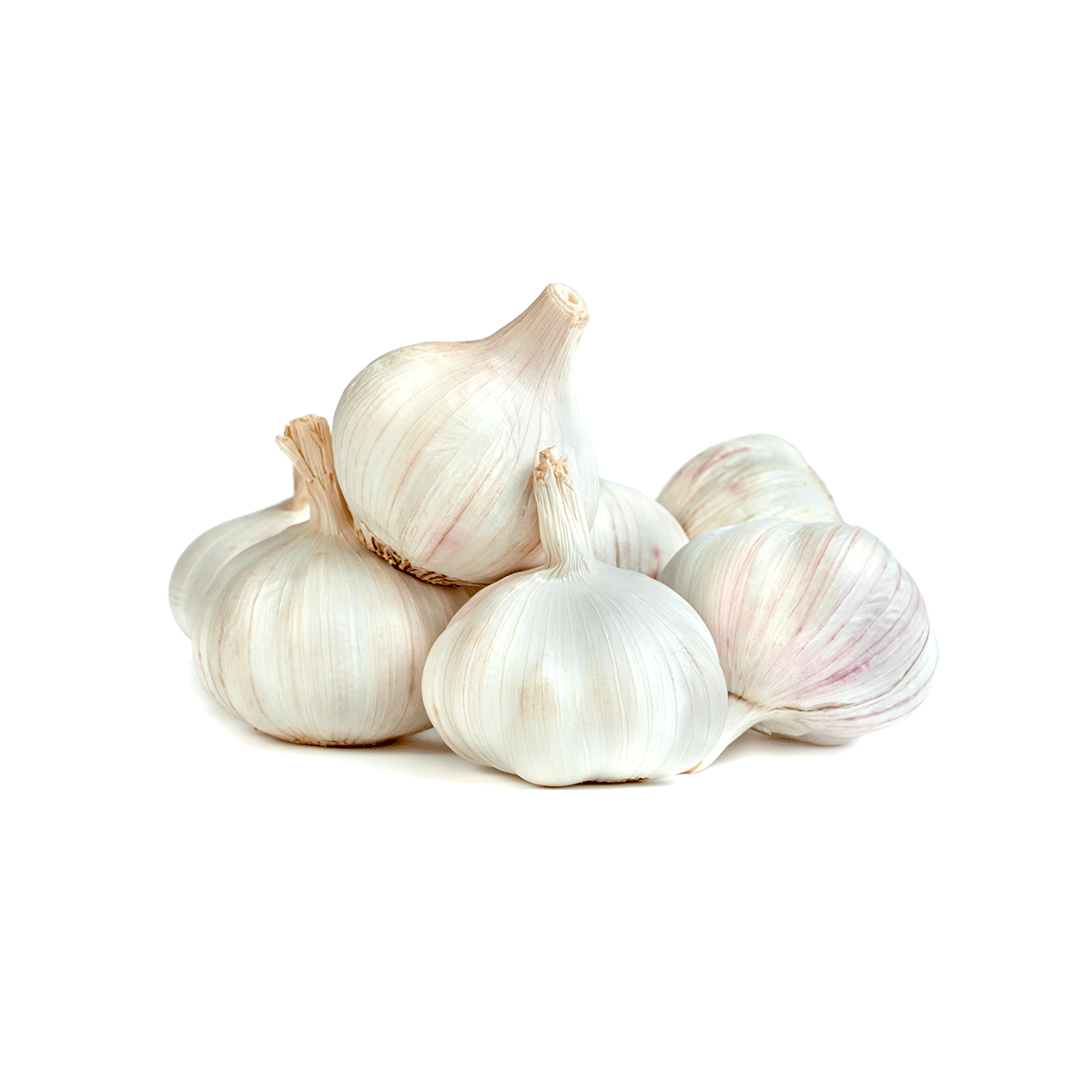 1 Knoflook