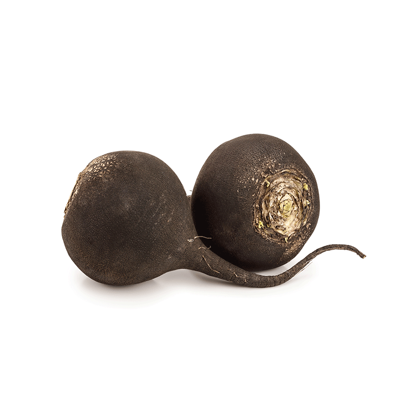 1 Zwarte Radijs