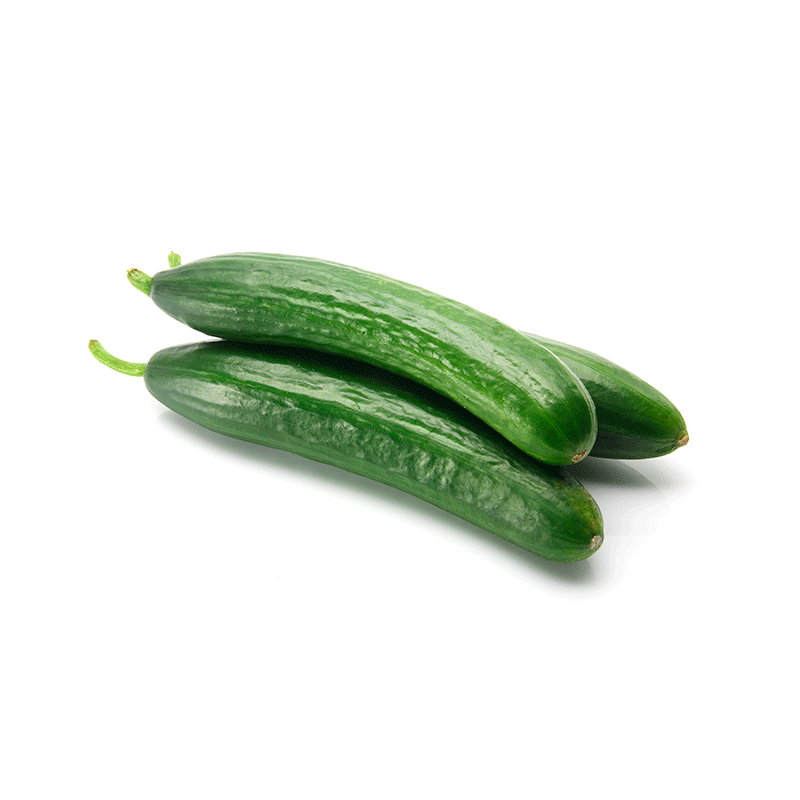 Concombres Bio