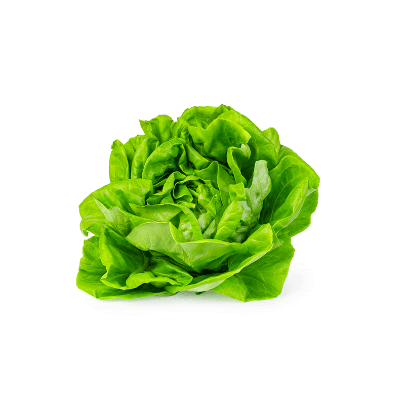 Salades