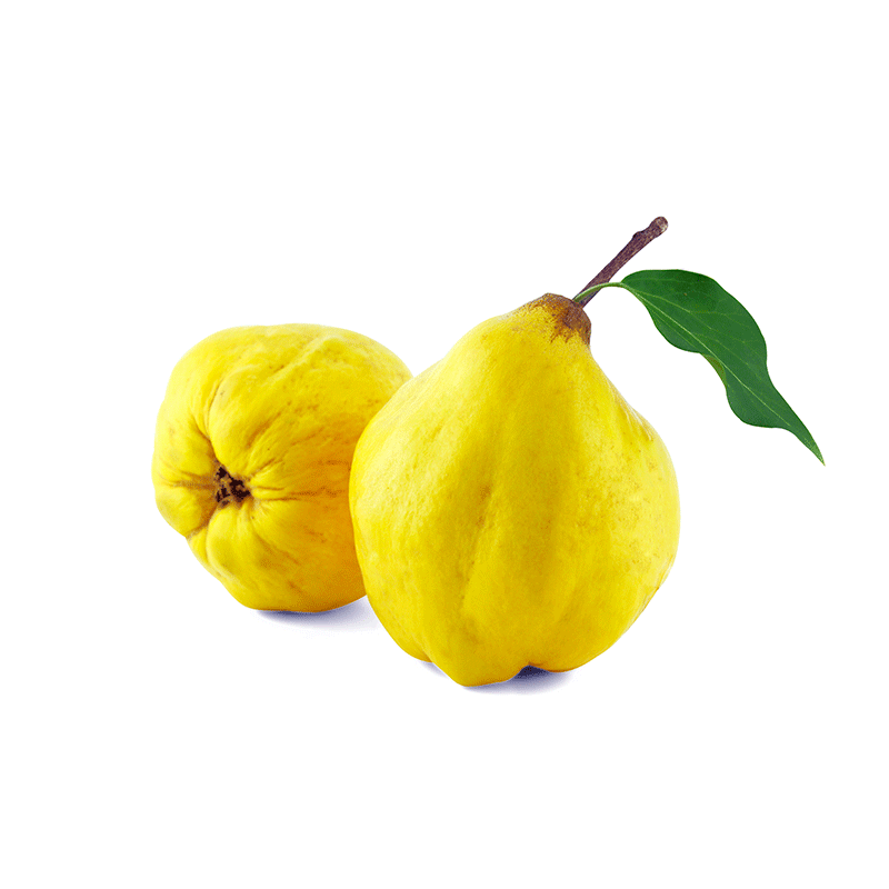Coings